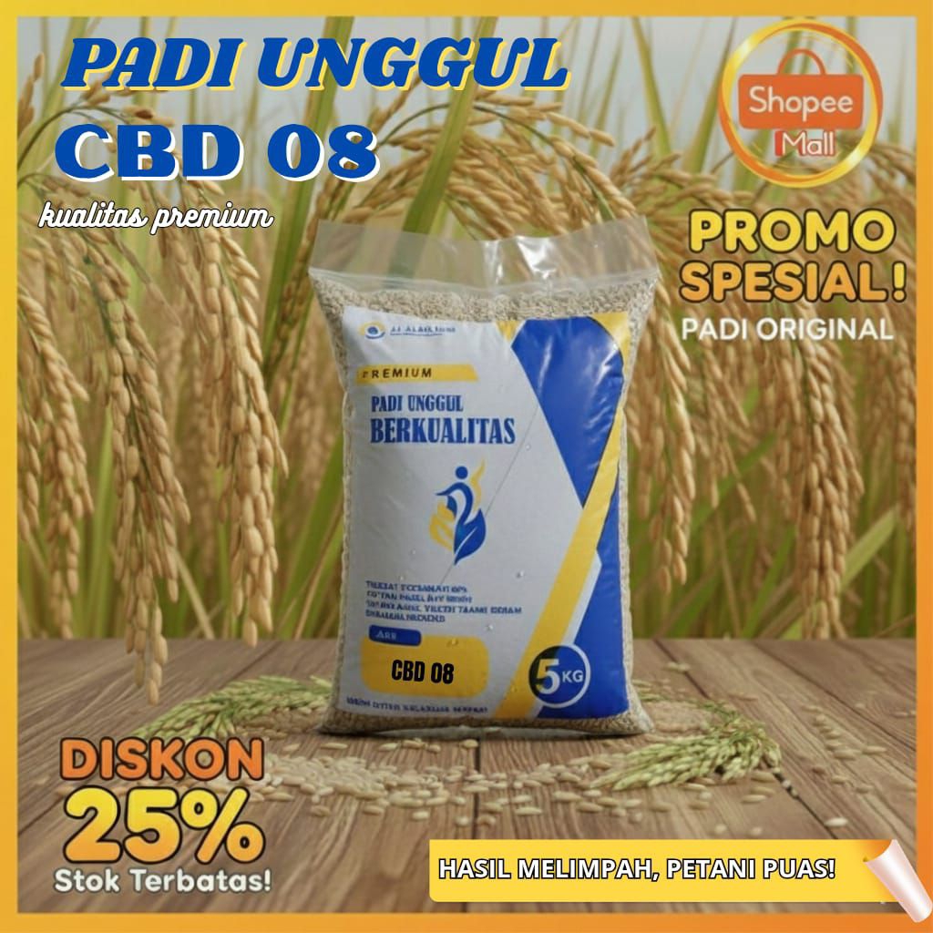 Padi unggul CBD 08 5kg bermutu tinggi