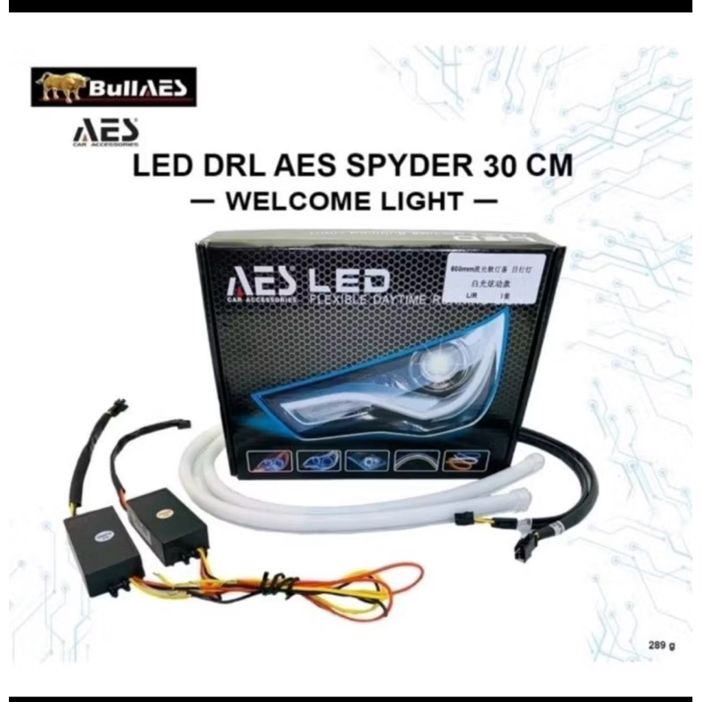 DRL ALIS SPIDER AES 30cm WELCOME LIGHT+ SEIN RUNNING