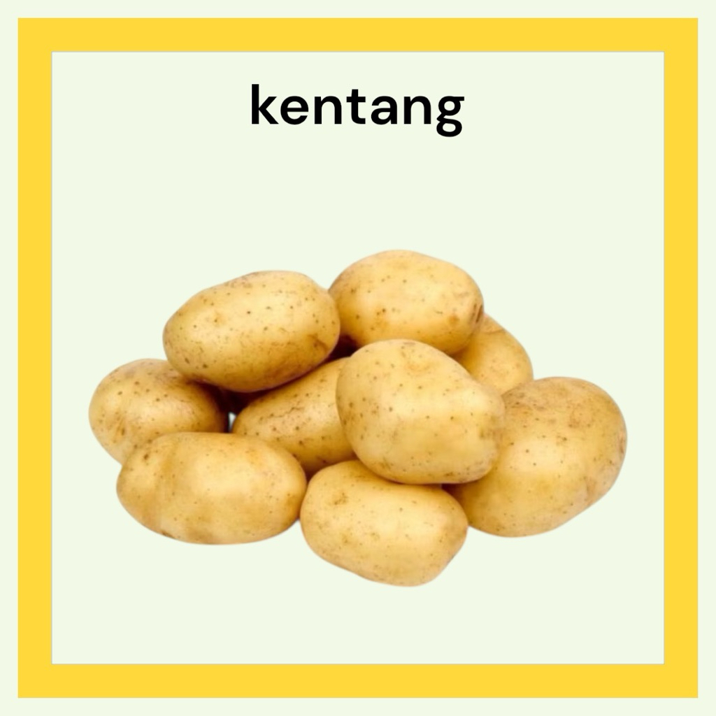kentang dieng 1kg