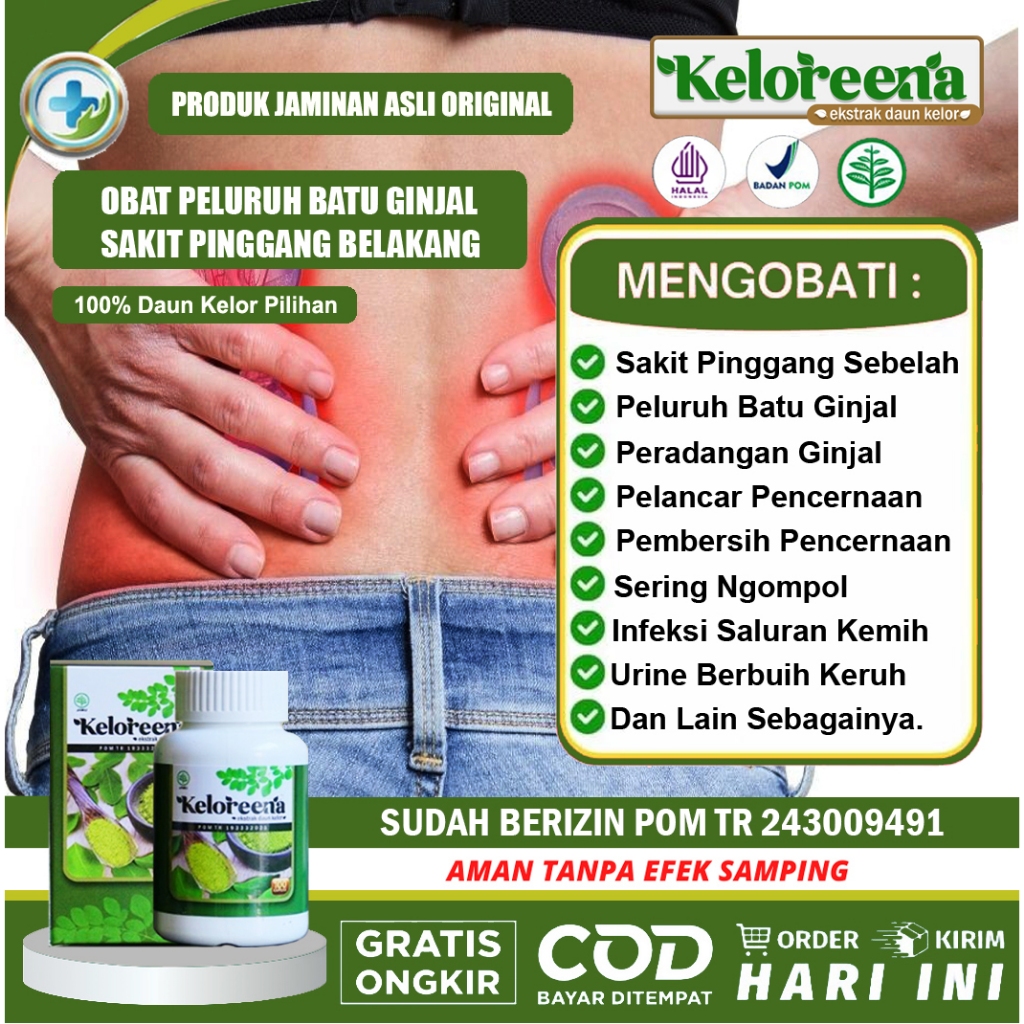 Obat Batu Ginjal Herbal Daun Kelor Kapsul Jamu Untuk Sakit Pinggang Tulang Belakang