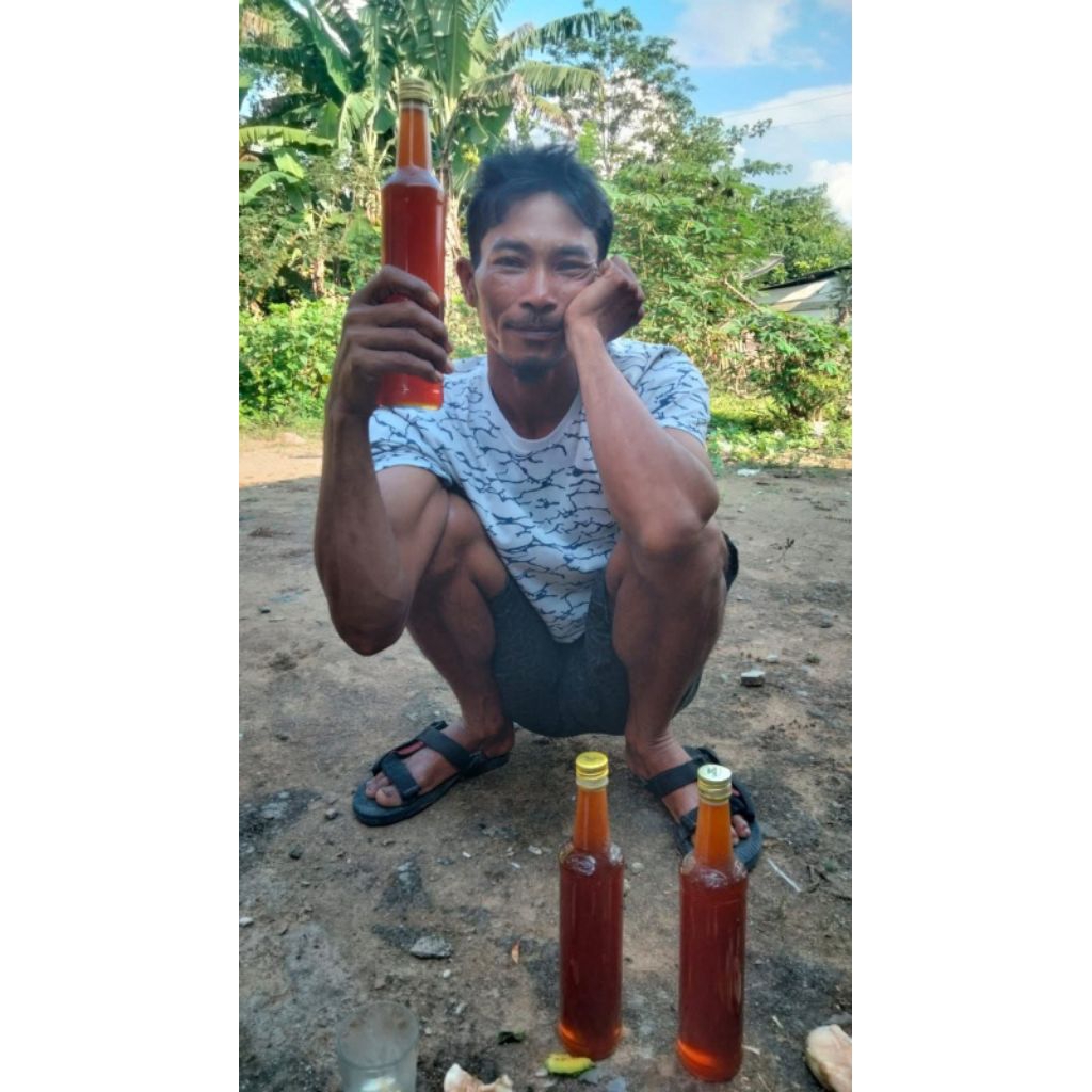 madu asli hutan Sumatera