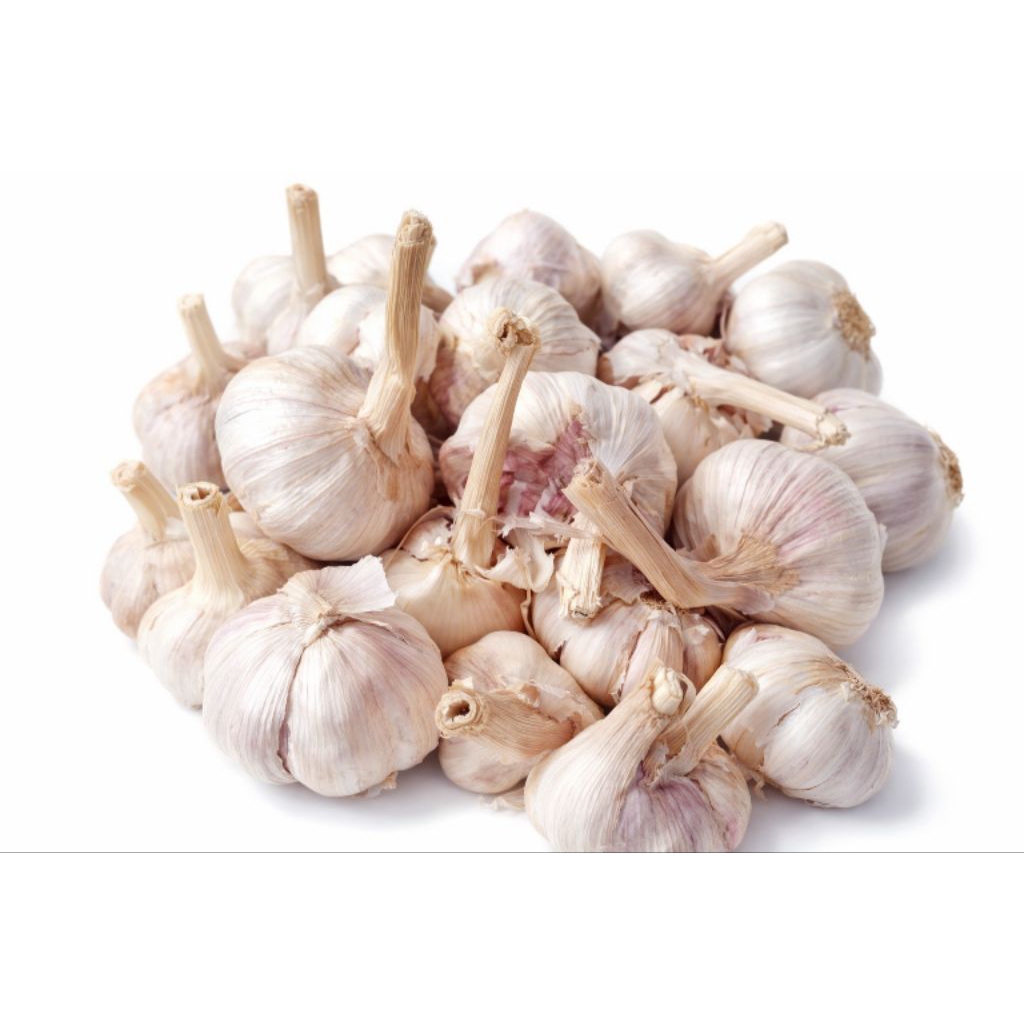 Bawang Putih Sico 1kg Kotor