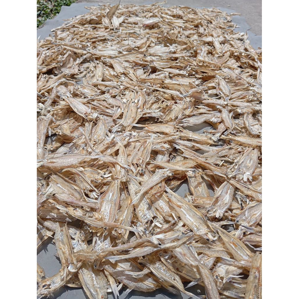 Dendeng Ikan Asin Air Laut Rasa Gurih Asin