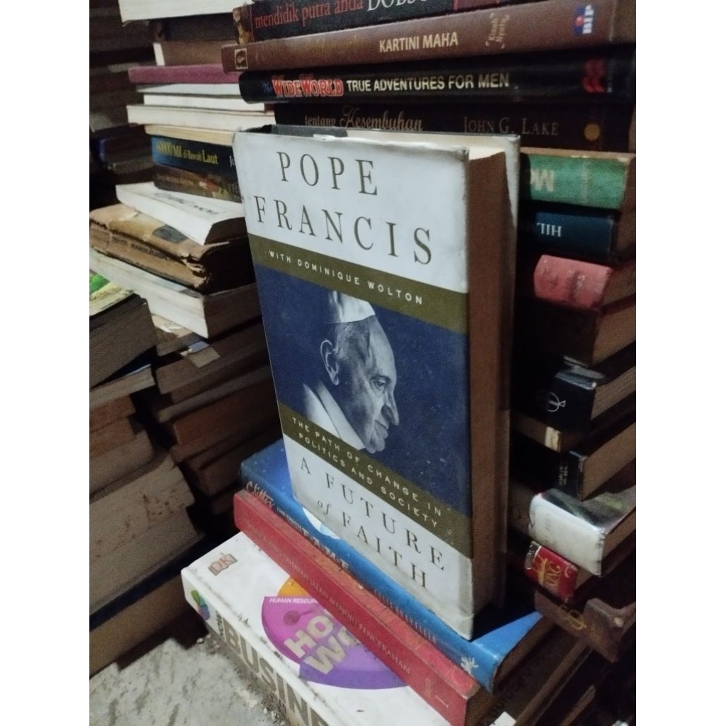 pope francis  with dominique wolton the path of change in politics  and society a future of faith