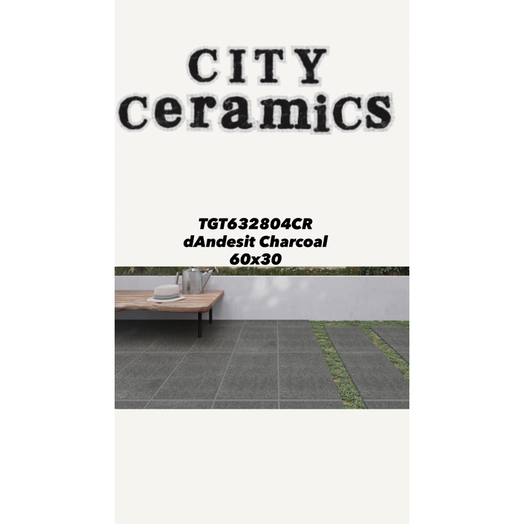 ROMAN DANDESIT CHARCOAL 30x60