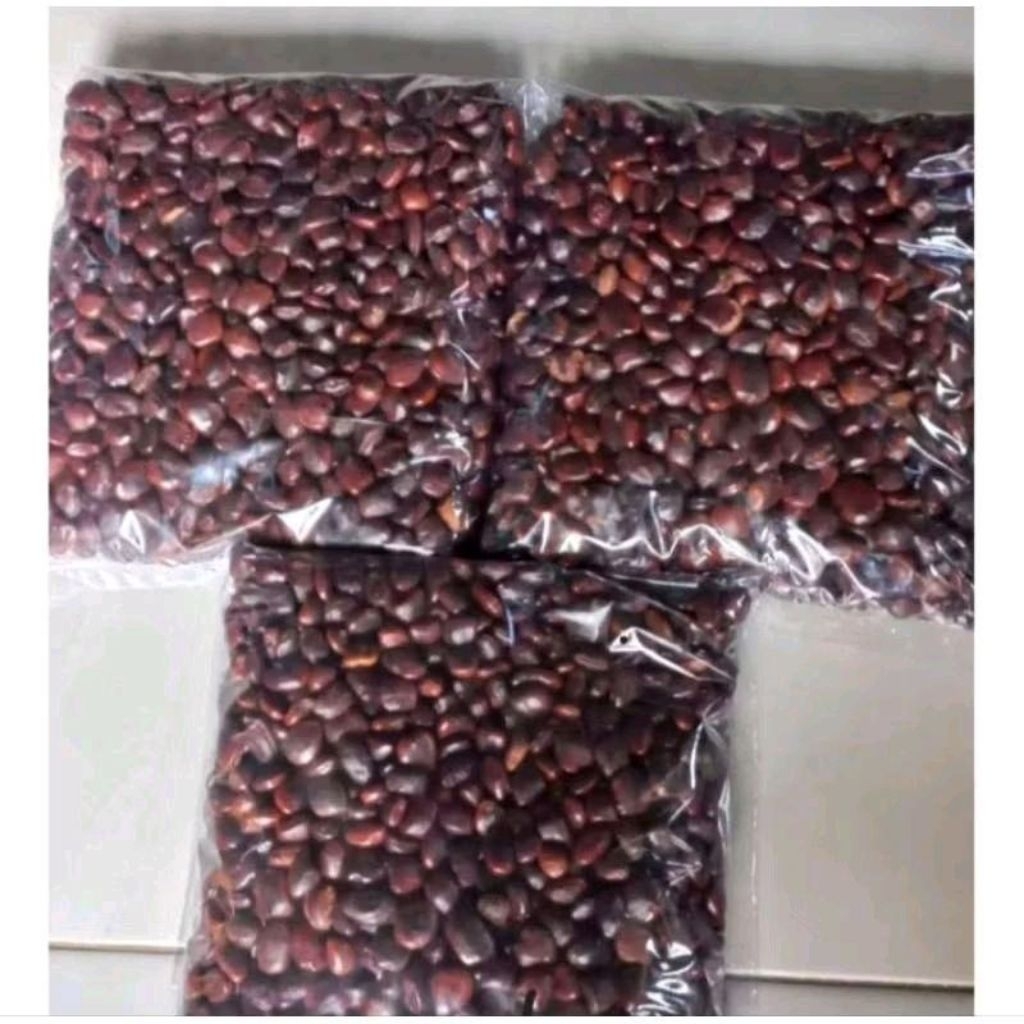 Biji Benih Asam Jawa 500 Gram | Asem Jawa