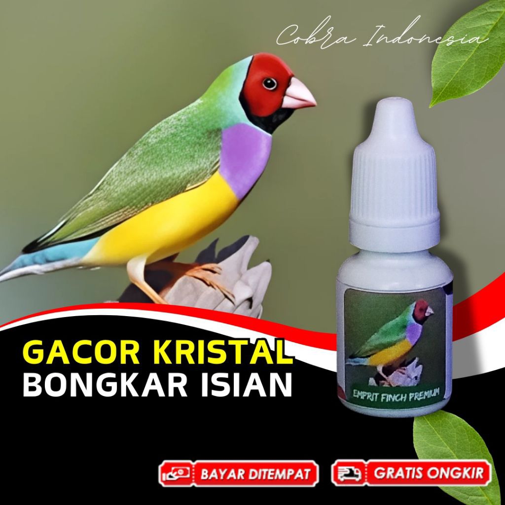 Vitamin Burung Finch Emprit