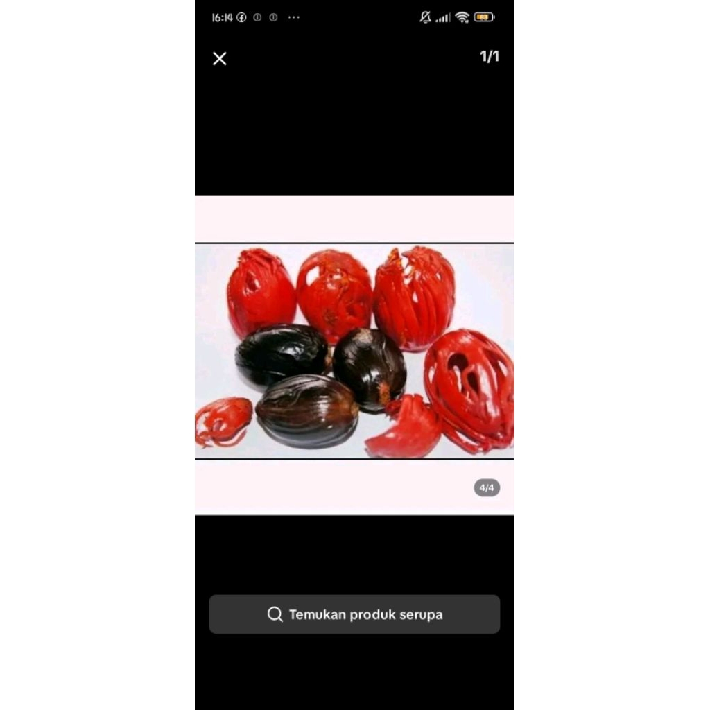 bunga pala kering 1kg mace kembang pala