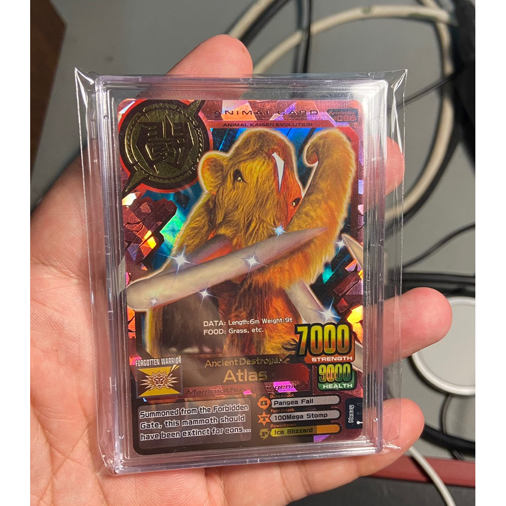 Animal Kaiser (Atlas & Kaiser Coral)