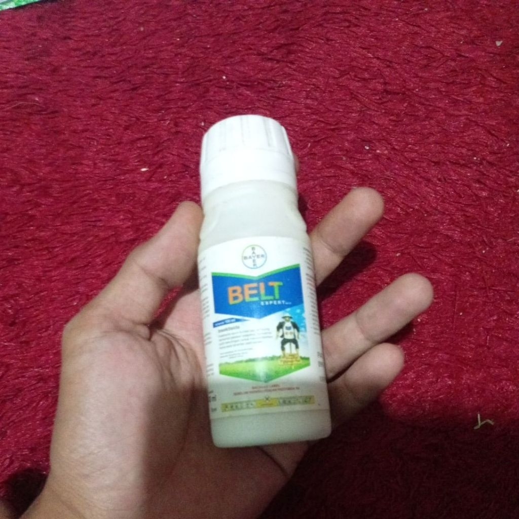 BELT EXPERT 480SC 100ml