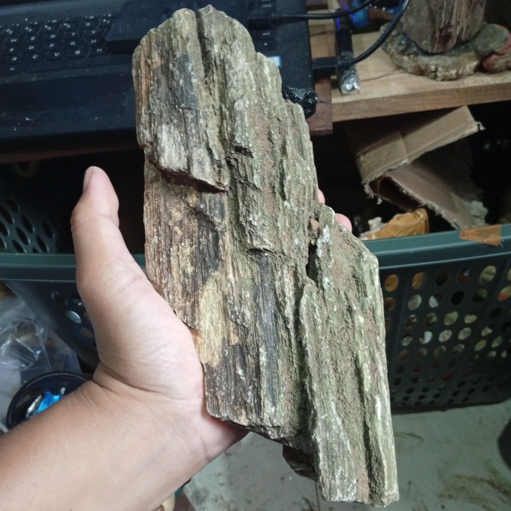 batu posil kayu pokay purba unik
