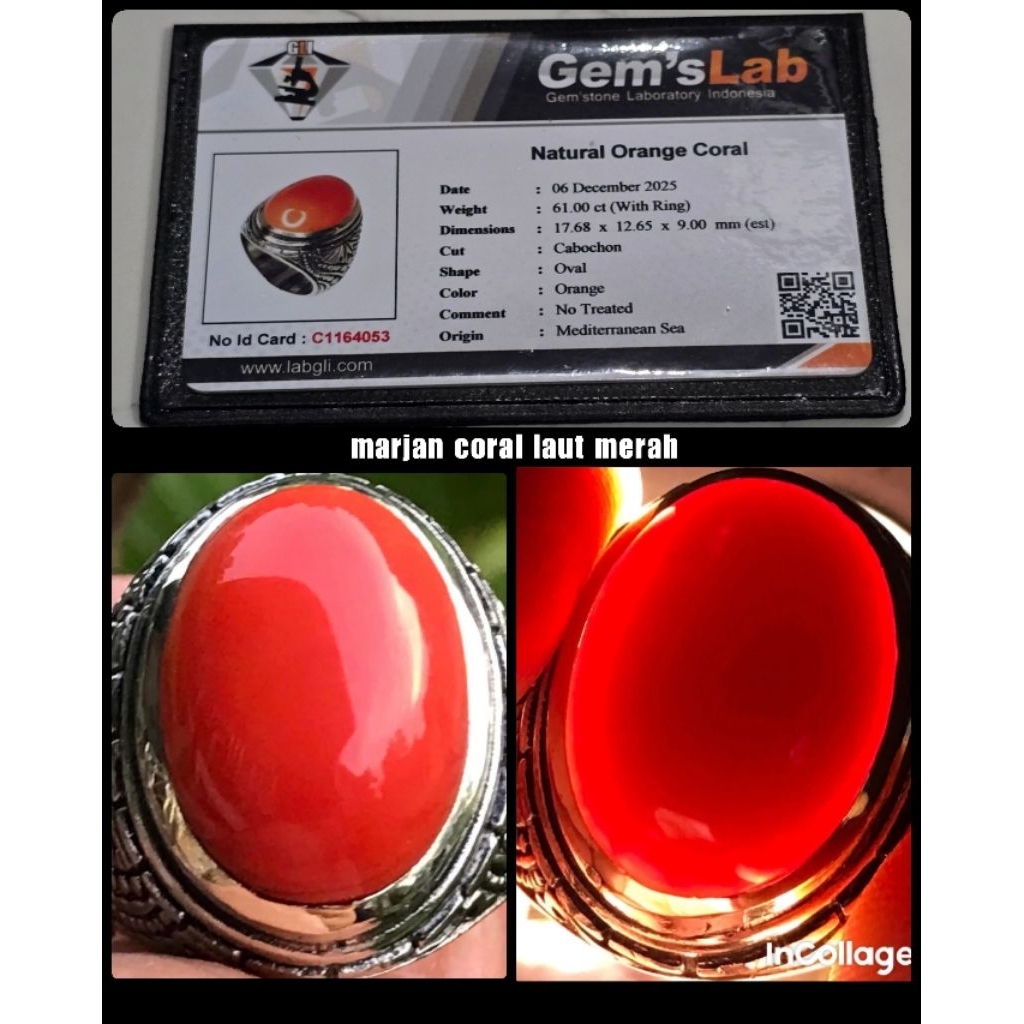 batu marjan coral jumbo asli laut merah HQ