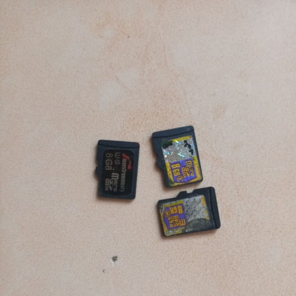 kartu memori micro sd  8gb