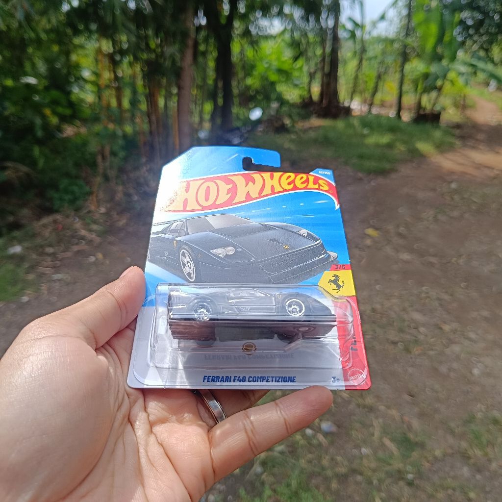 Hot wheels Super Treasure hunt Ferrari F40 SNI card