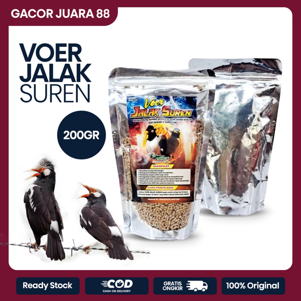 [HARGA MURAH] Voer Pakan Jalak Suren 200g Pakan Harian Vitamin Lengkap Protein Burung Jalak Suren