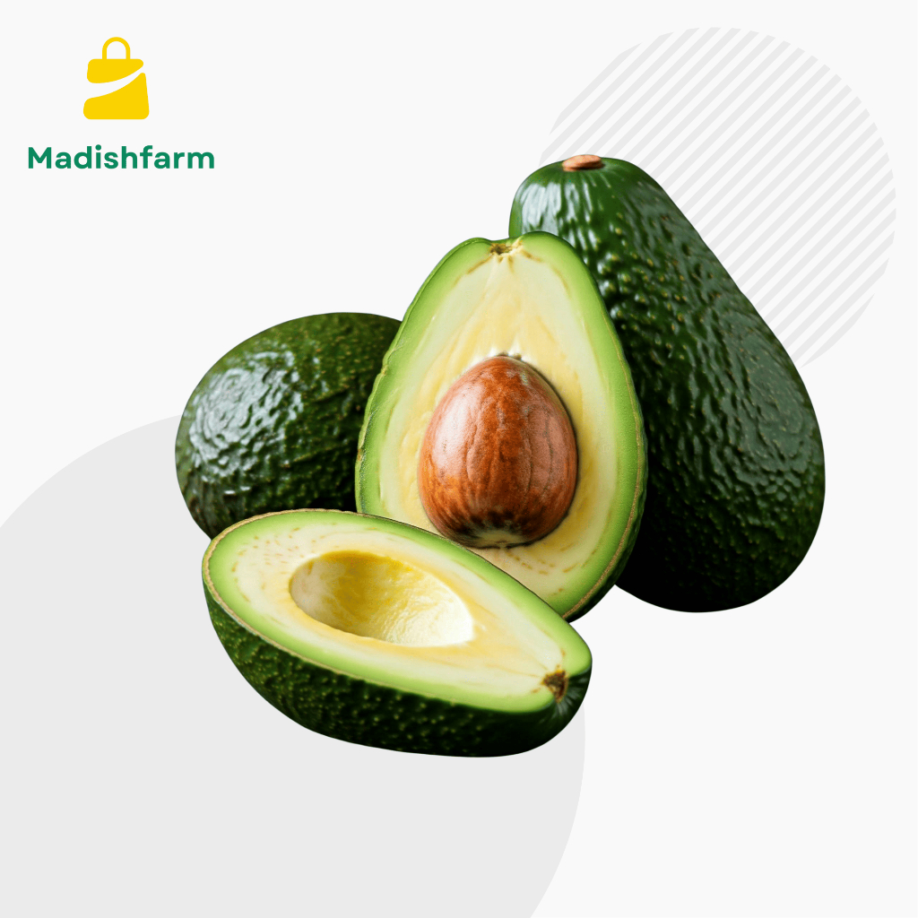 Premium Alpukat Aligator 1 kg, Fresh From Our Garden