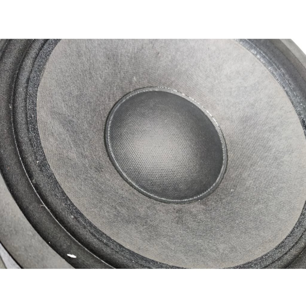 Komponen Speaker / 10 Inch / Apollo AW1045 / VC 2.5 IN / APL AW 1045 / 98dB - RMS 300 Watt