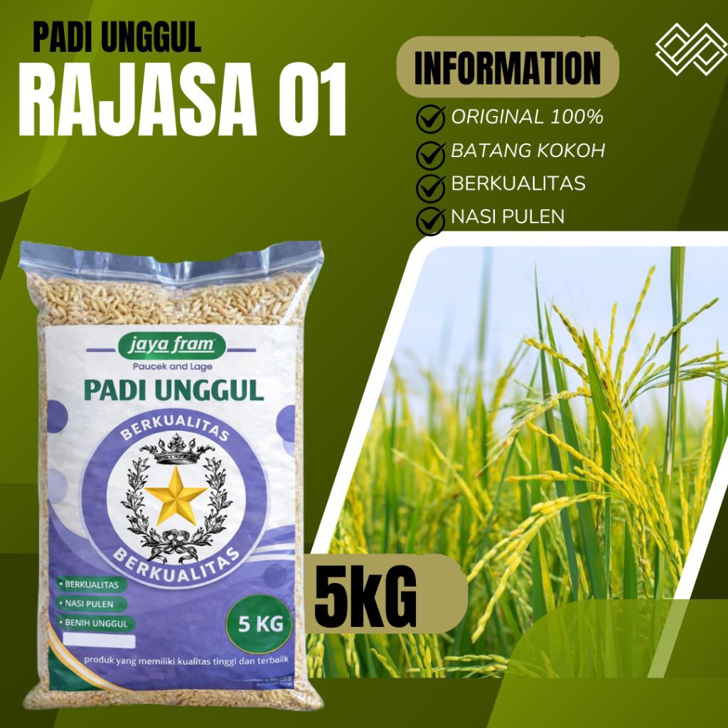 benih padi unggul rajasa01 kemasan 5kg