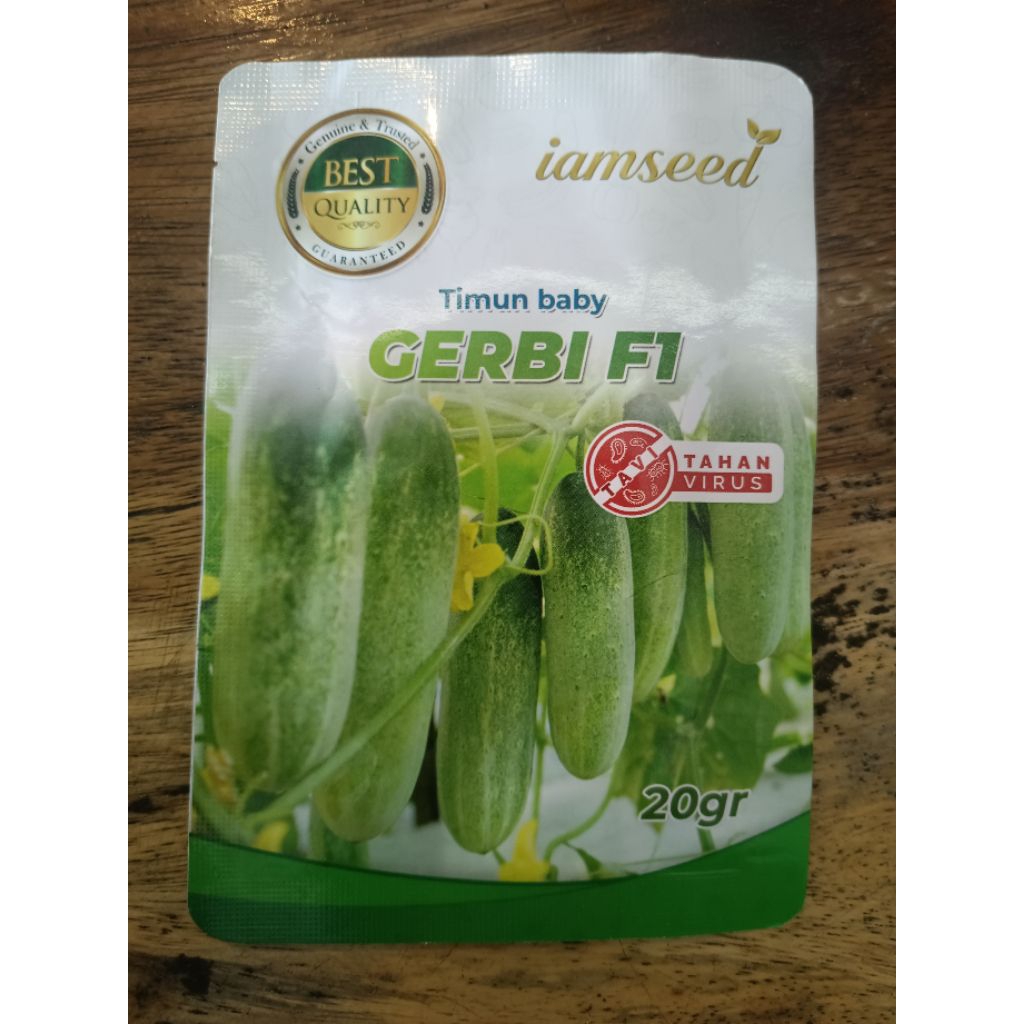 BenihTimunBaby,TimunMini