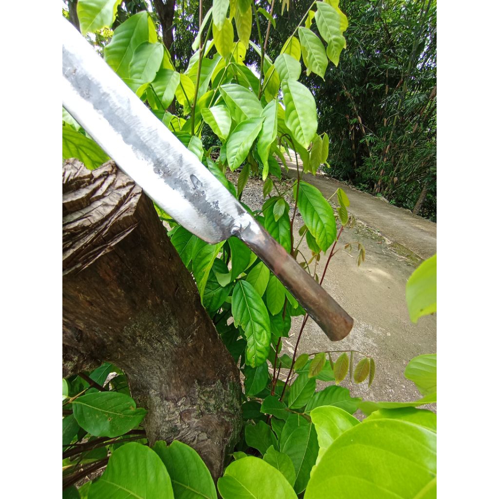 pisau baja asli tebal Kuwat potong ranting pohon