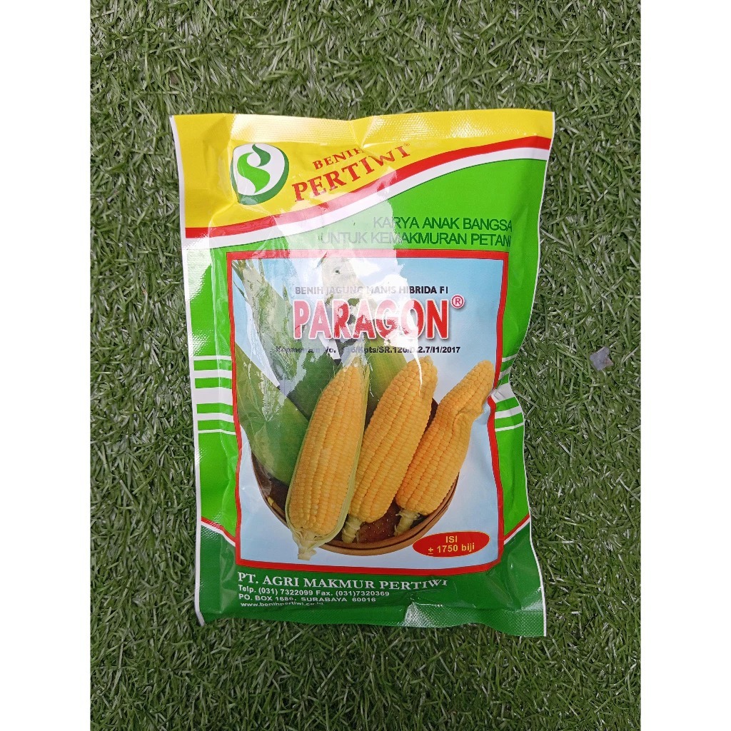 Benih JAGUNG MANIS PARAGON isi +/-1750 biji/Paragon 250g -+1750/Benih jagung manis unggul/bibit jagu