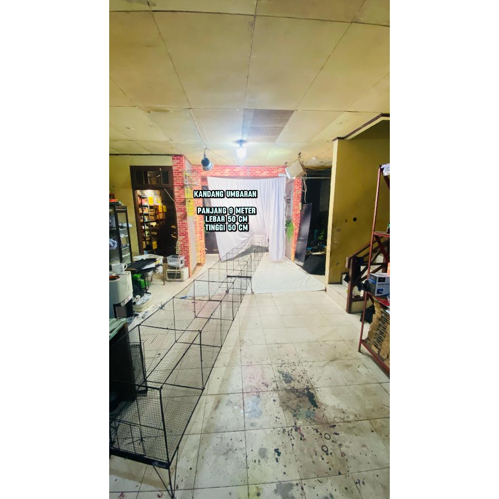 kandang umbaran burung murai lomba panjang 9 meter