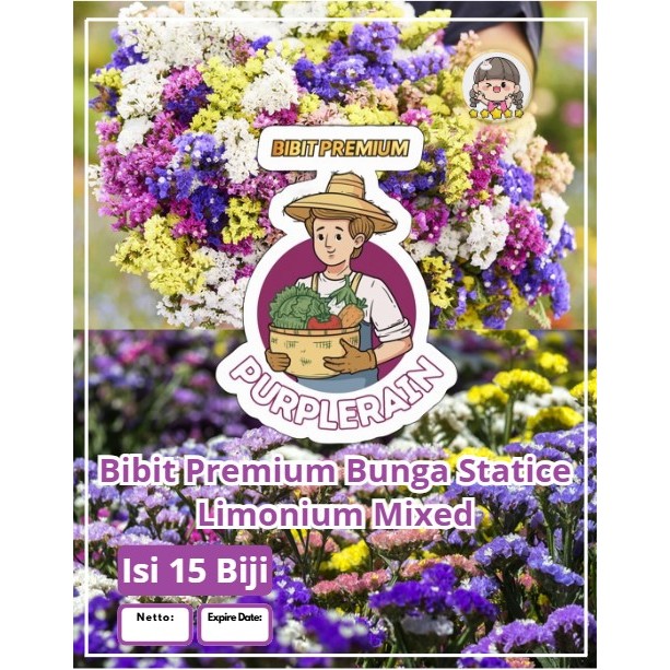 Bibit Premium Bunga Statice Linonium Mixed | Biji Benih Bunga Statice Linonium Mixed  | Bunga Static