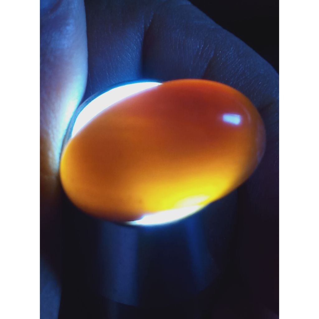 Batu Fosill Kelor Kristal