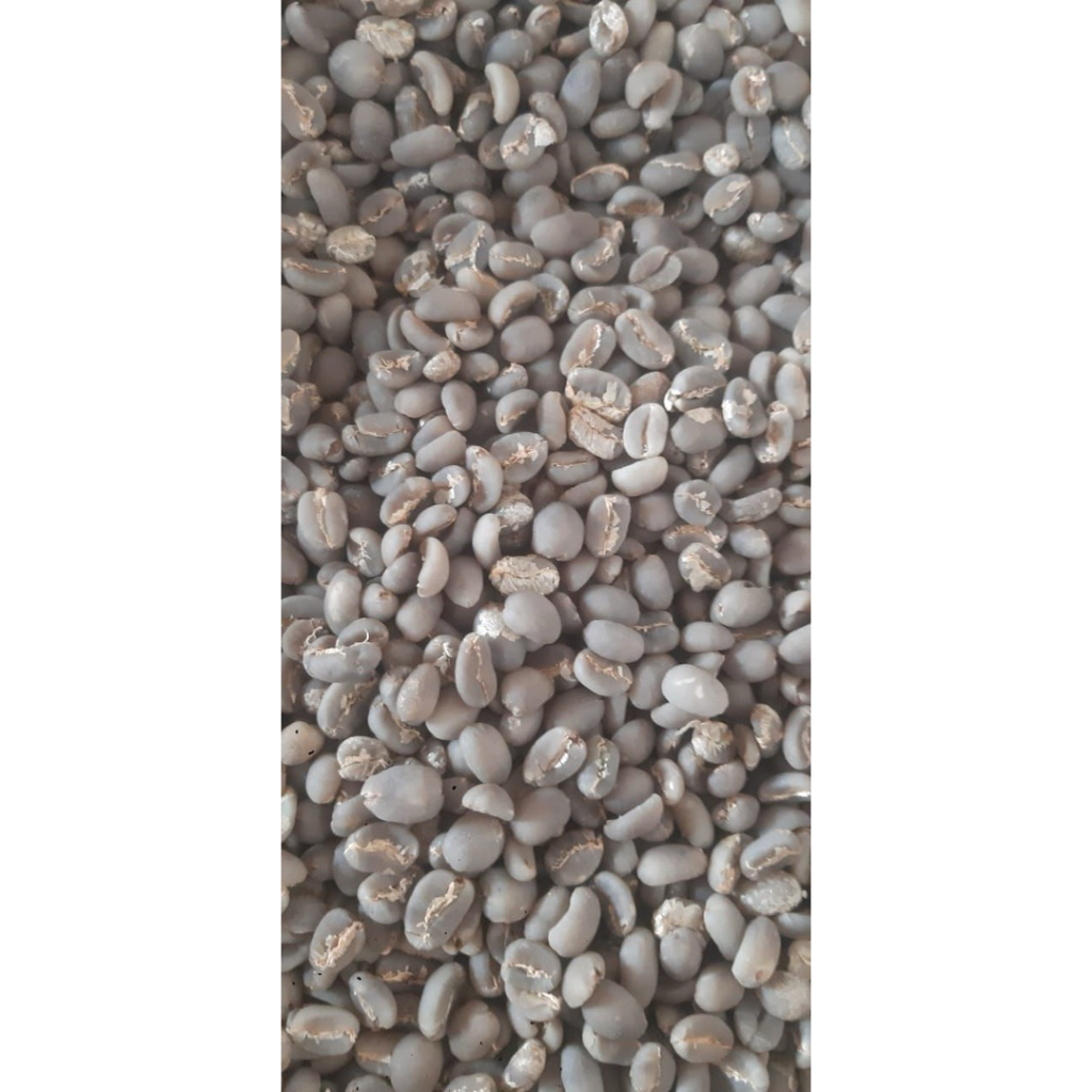 Green bean Kopi Arabika Gayo