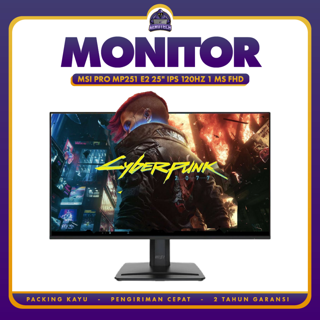 LED Monitor MSI PRO MP251 E2 25" IPS 120Hz
