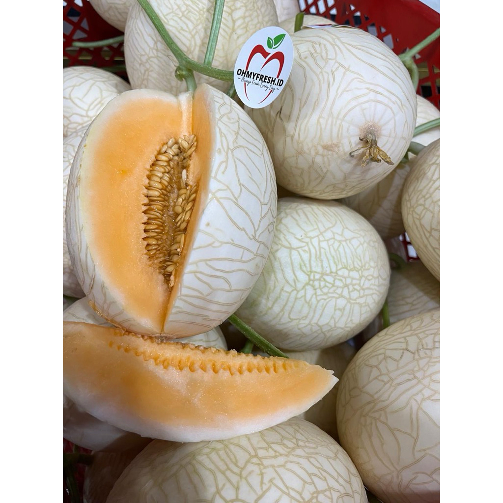 Melon Hidroponik sweet net melon orange hidroponik melon manis dan renyah