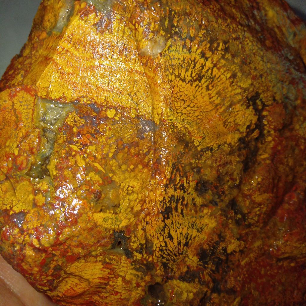 Natural Batu Bunga Sakura Multi Warna Antik Dan Langka