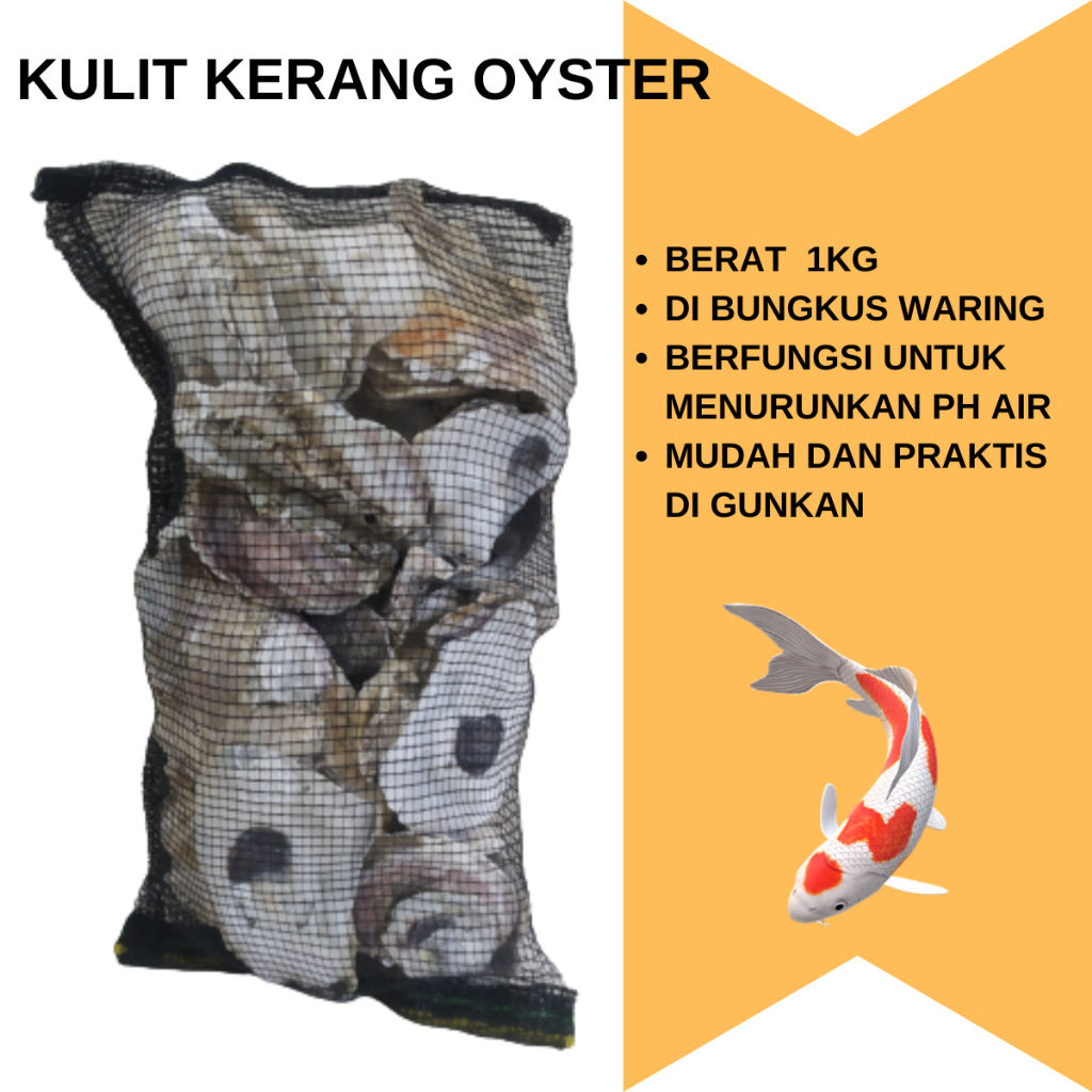 Kulit Kerang Oyster Media Filter Kolam Koi Stabil PH