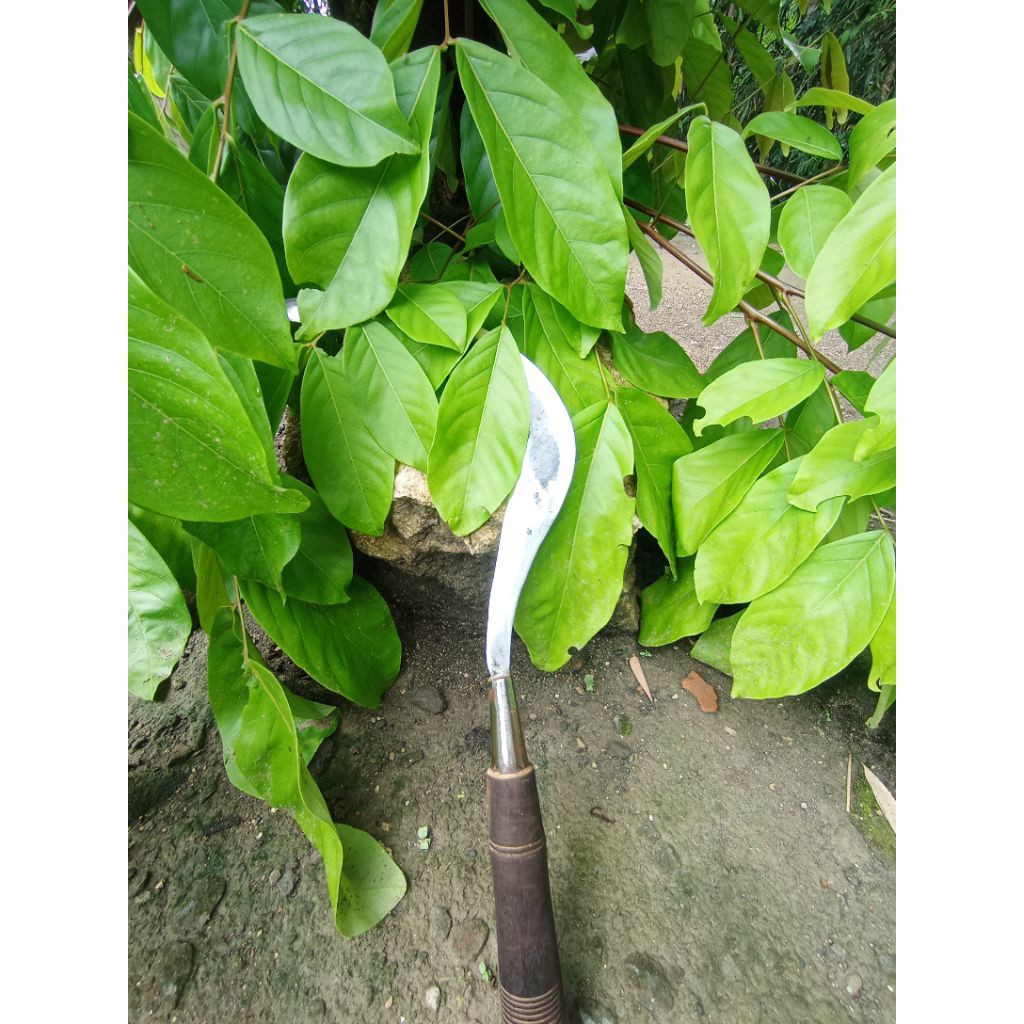 aret baja pisau baja aret rumput pisau asli per