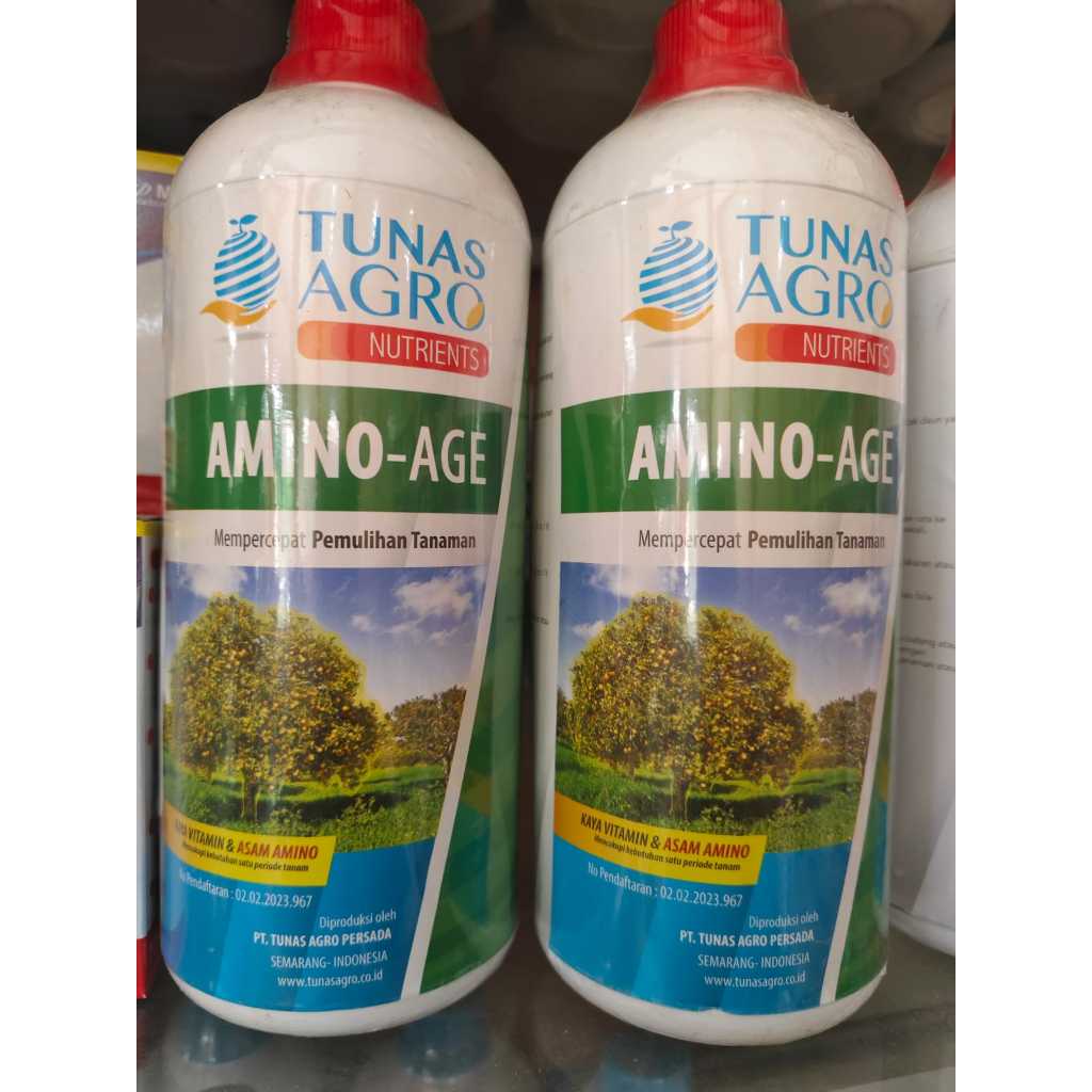 Asam Amino AMINO AGE 1 LITER