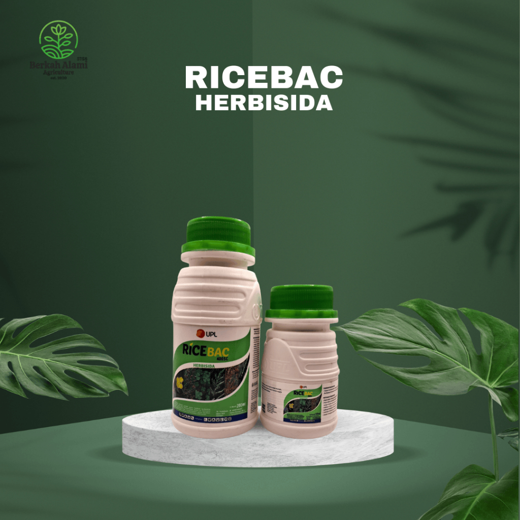 RICEBAC 400 SC HERBISIDA SELEKTIF UNTUK TANAMAN PADI