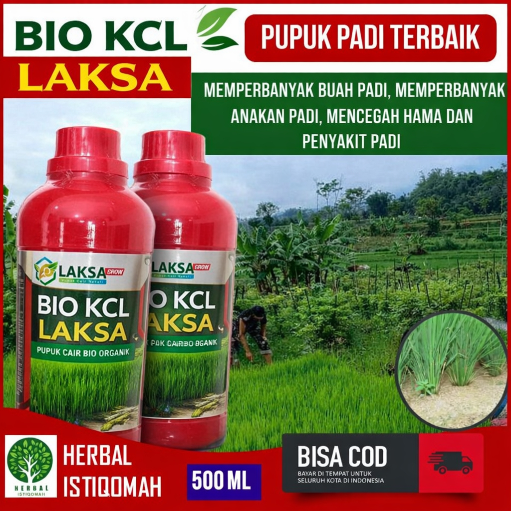 BIO KCL LAKSA 500ML Obat Pengisi Bulir Padi - Obat Bulir Buah Padi Menjadi Berisi - Obat Padi Obat B