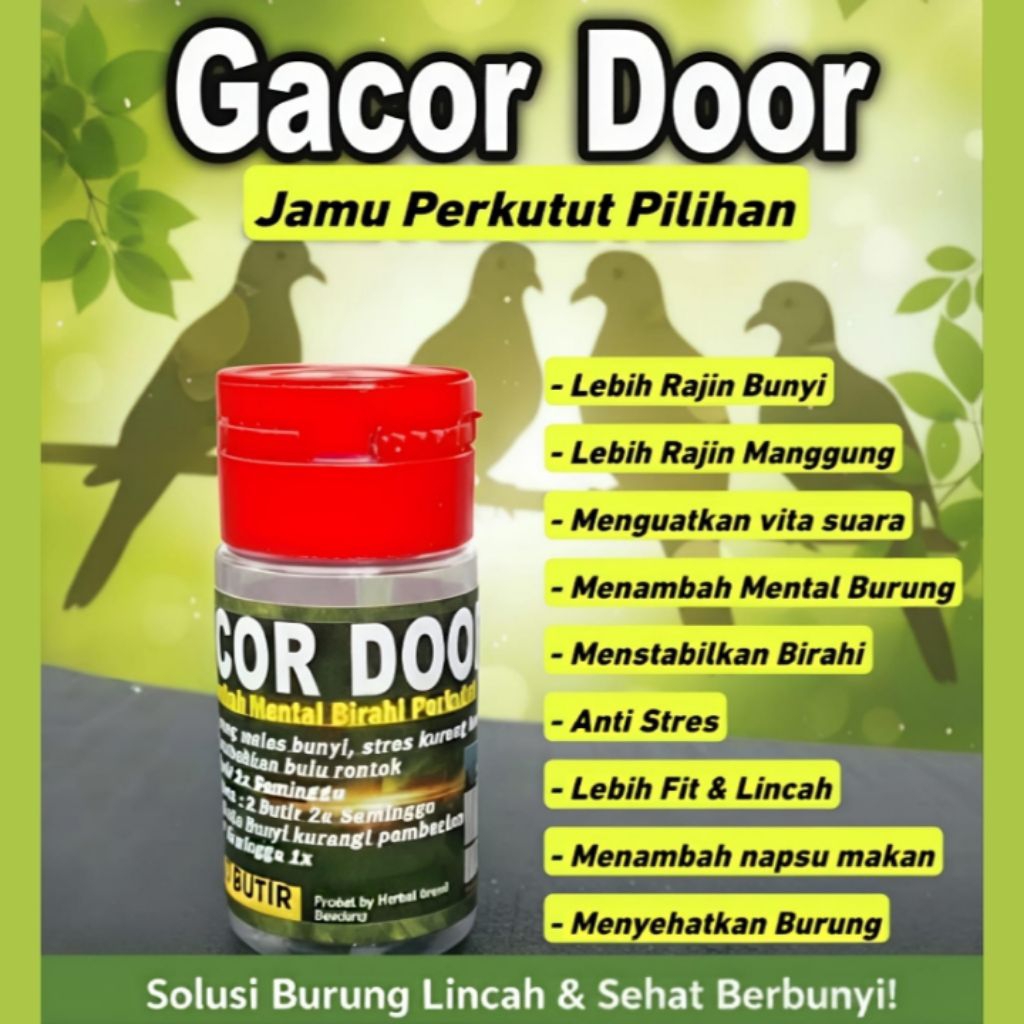 Jamu Perkutut Gacor Door 50 Pil cepat gacor dan rajin manggung perkutut lokal & bangkok