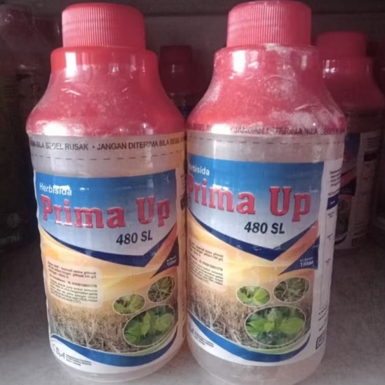 PRIMA-UP 480 SL 1 LITER HERBISIDA PEMBASMI RUMPUT