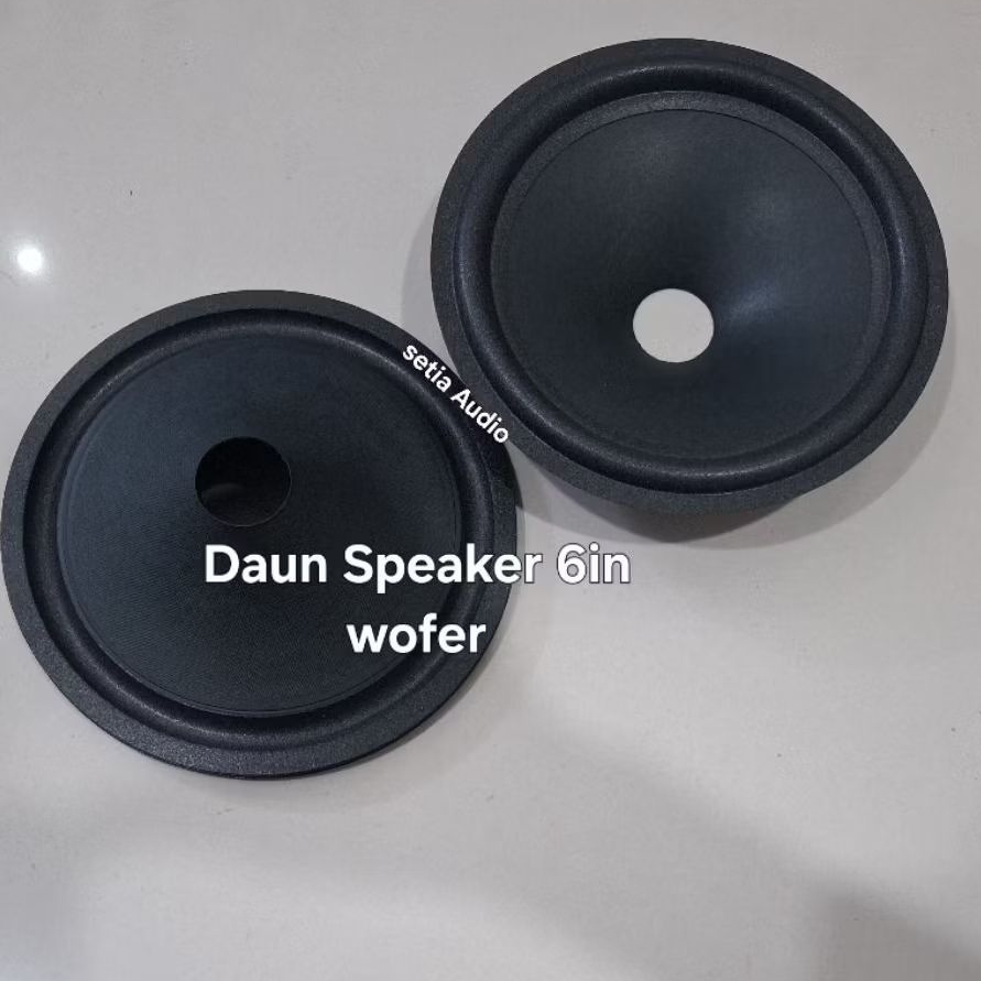 DAUN SPEAKER 6IN WOFER