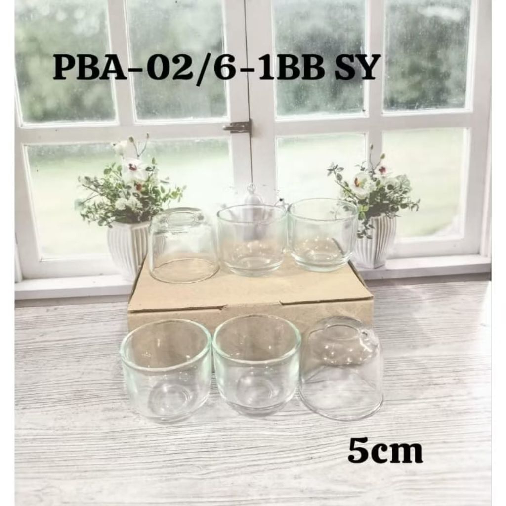 GELAS SLOKI KACA PBA 2 ISI 6