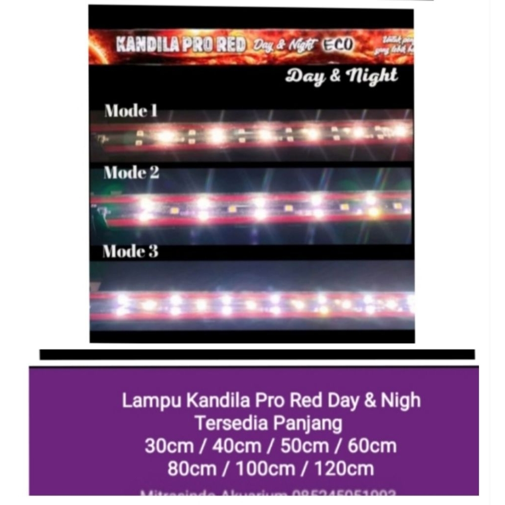 Lampu Kandila Pro Red Day And Night Eco 1000 UVA + UVB KHUSUS INSTAN