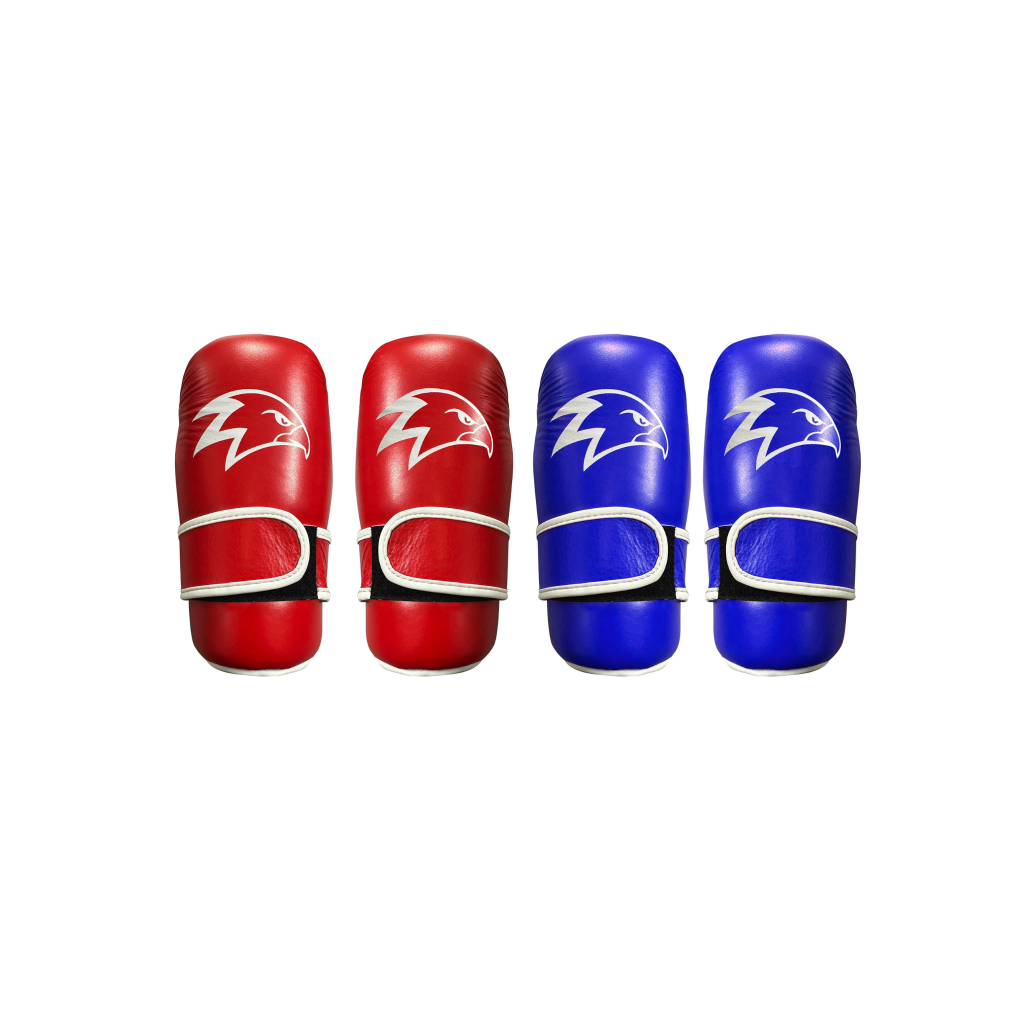 Hawkeye Fightwear - Achieve Point Fighting Gloves