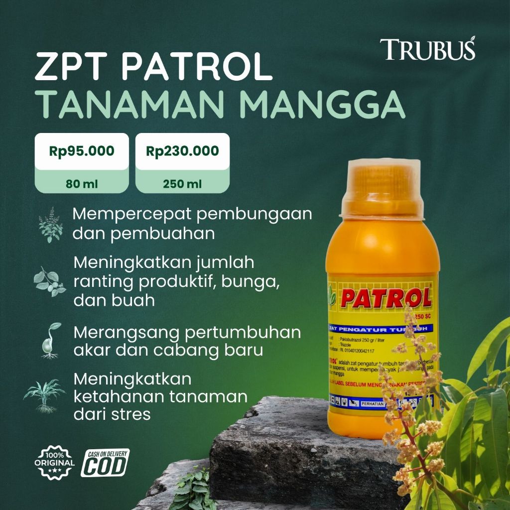 ZPT UNTUK TANAMAN MANGGA - TRUBUS GREEN