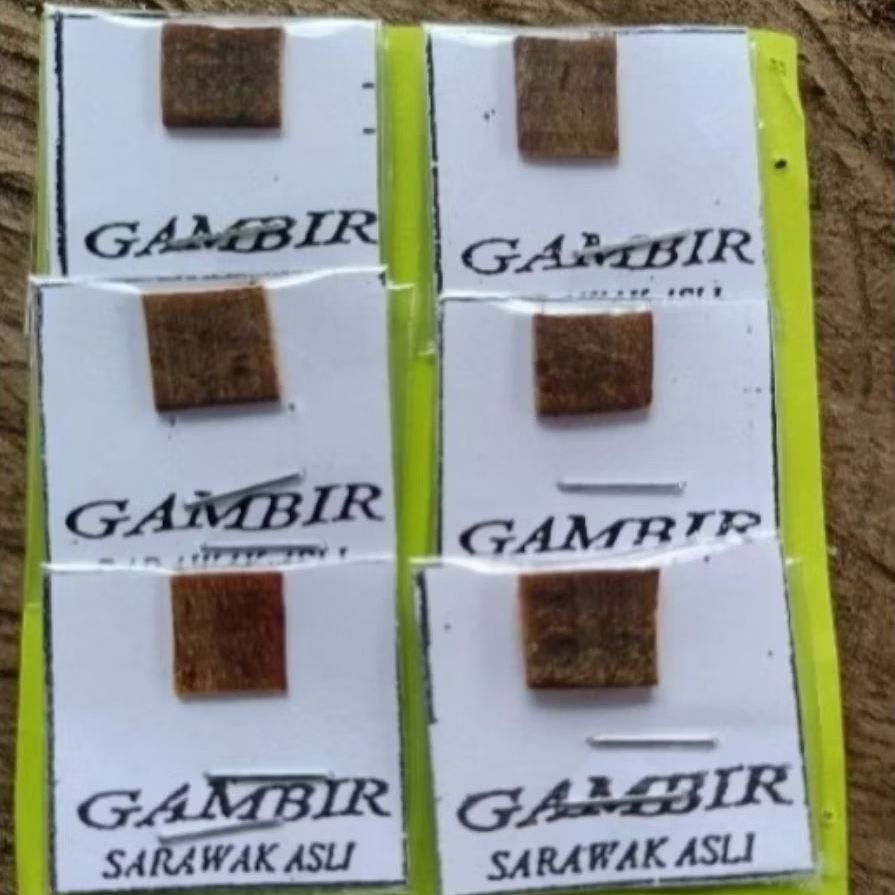 Gambir Serawak Malaysia Asli | Gambir Siam Original