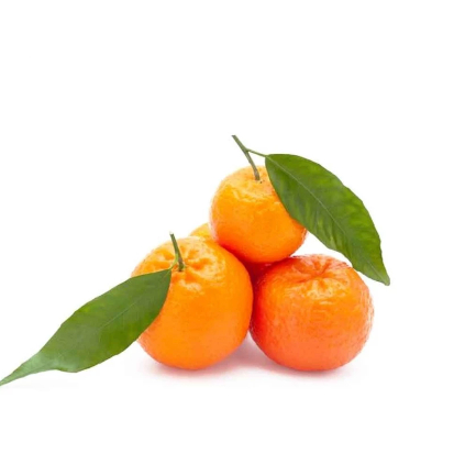 BUAH JERUK SANTANG DAUN IMPORT