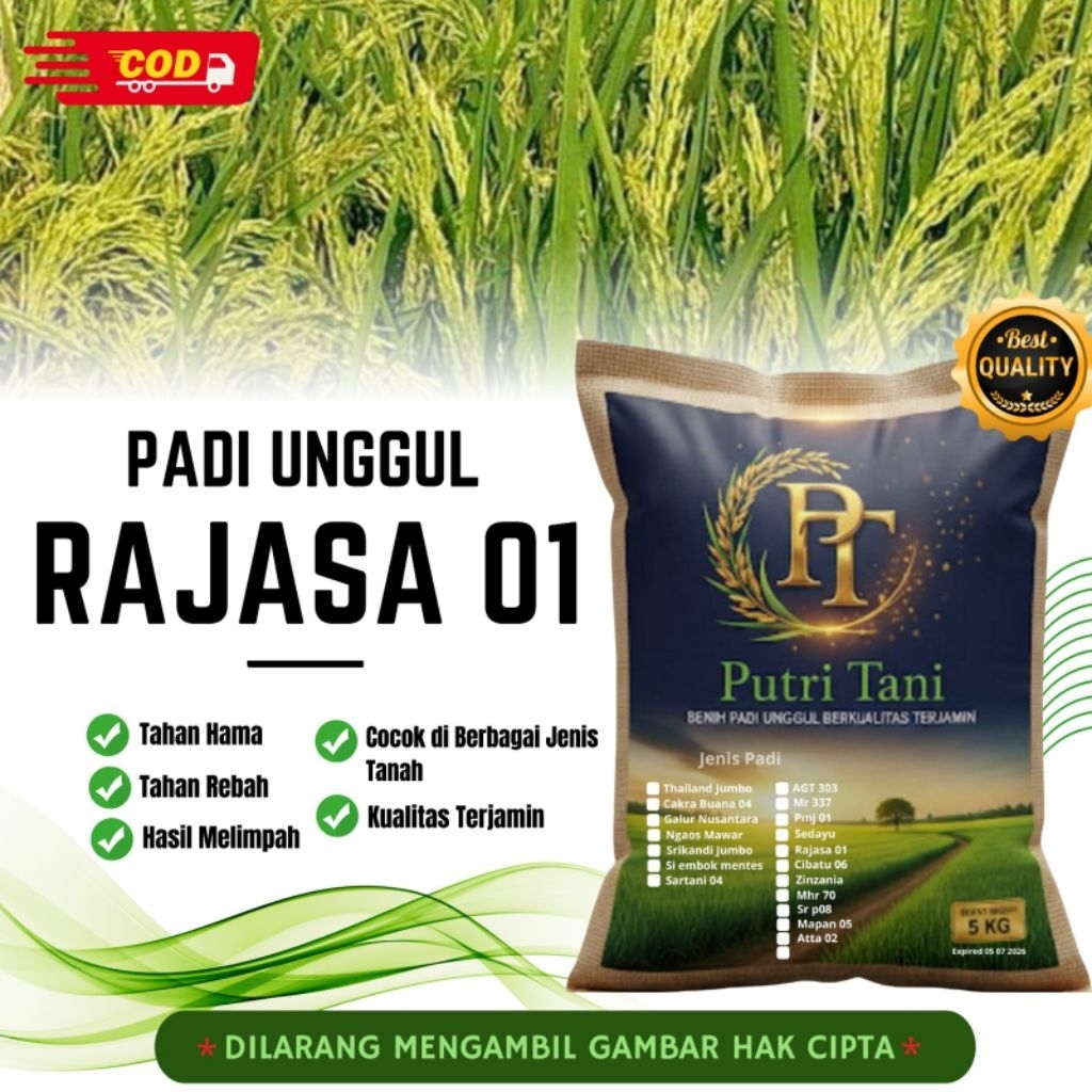 BIBIT PADI RAJASA01 KEMASAN 5KG