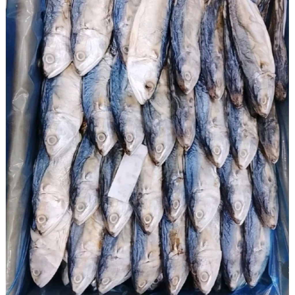 Ikan asin Peda/ ikan asin medan