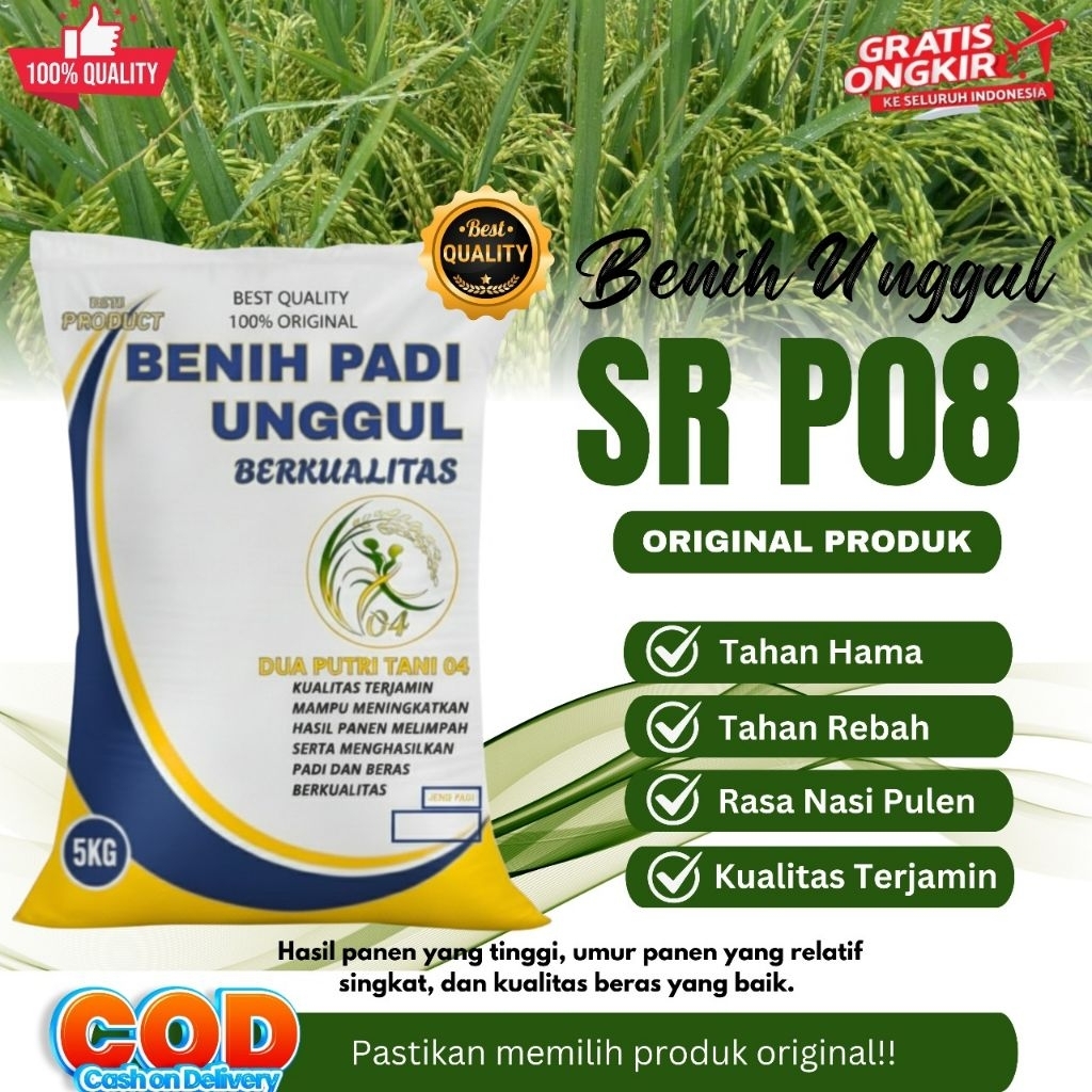 bibit padi SR P08 kemasan 5kg