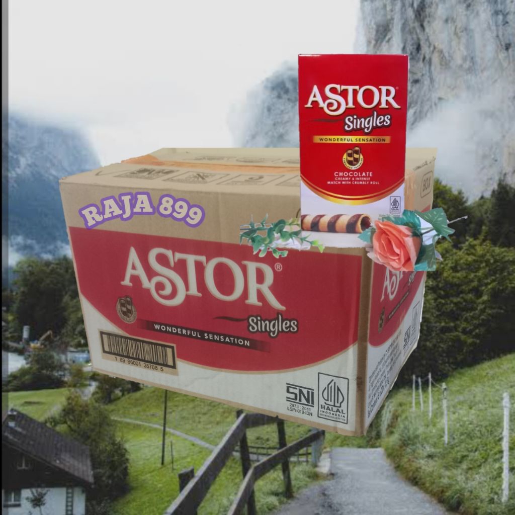 ASTOR SINGLES WAFER STICK DUS ISI 8 BOX @250GR | ASTOR WAFER ROLL KARTON 250GR